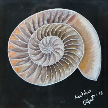 Desenho intitulada "Nautilus: the fossil" por Olga Petrova, Obras de arte originais, Pastel