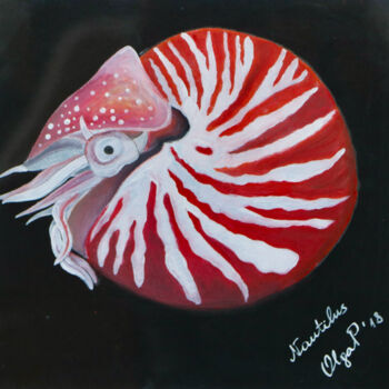 Tekening getiteld "Nautilus: the animal" door Olga Petrova, Origineel Kunstwerk, Pastel