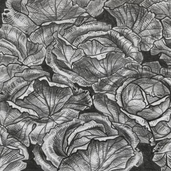 Drawing titled "Cabbage" by Olha Protsenko, Original Artwork, Pencil