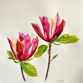 Картина под названием "Magnolia’s" - Olha Riabokon, Подлинное произведение искусства, Акварель