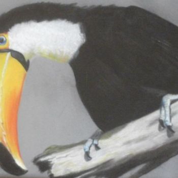 Painting titled "Toucan" by Olayinka Taylor-Lewis, Original Artwork