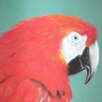 Painting titled "Red parrot" by Olayinka Taylor-Lewis, Original Artwork, Oil