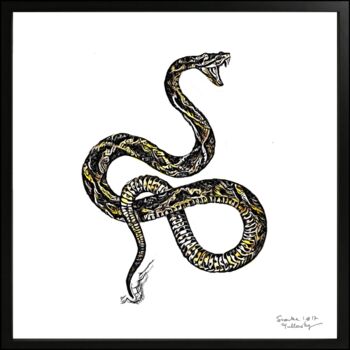 Drawing titled "Snake 1#17" by Olivier De Tullasky, Original Artwork, Ink