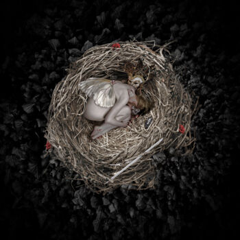 Artes digitais intitulada "The Nest" por Olivier Gros, Obras de arte originais, Foto Montagem