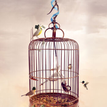 Arts numériques intitulée "Femme en cage" par Olivier Gros, Œuvre d'art originale, Photo montage