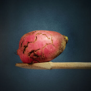 Photographie intitulée "Le potager des souv…" par Olivier Pasquiers, Œuvre d'art originale, Photographie non manipulée