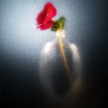Photography titled "Anémone#3" by Olivier Pasquiers, Original Artwork, Non Manipulated Photography