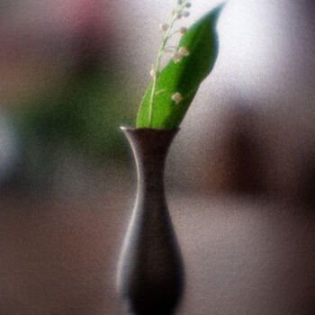 Photography titled "Muguet" by Olivier Pasquiers, Original Artwork, Non Manipulated Photography