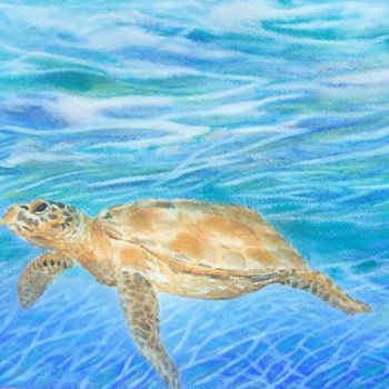 Painting titled "Tortue.jpeg" by Olivier Follin, Original Artwork, Watercolor