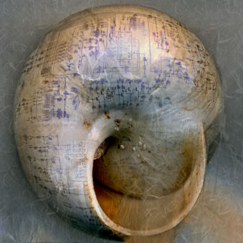 Arte digital titulada "The thinking shell…" por Olivier Gilet, Obra de arte original, Pintura Digital