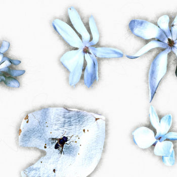 Digital Arts titled "Magnolias travels (…" by Olivier Gilet, Original Artwork, Digital Painting