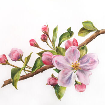 Картина под названием "Cherry blossom, wat…" - Olya Grigorevykh, Подлинное произведение искусства, Акварель