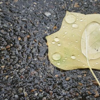 Fotografie mit dem Titel "AMOUR GOUTTE PLUIE…" von Omsurya Sandra Inti Ruphay, Original-Kunstwerk