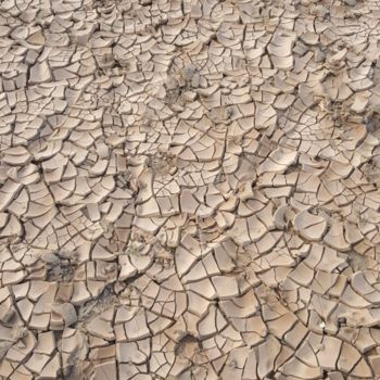 "FUERZA TIERRA MOVIM…" başlıklı Fotoğraf Omsurya Sandra Inti Ruphay tarafından, Orijinal sanat