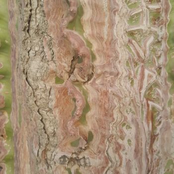 Фотография под названием "FUERZA ARBOL VIDA" - Omsurya Sandra Inti Ruphay, Подлинное произведение искусства