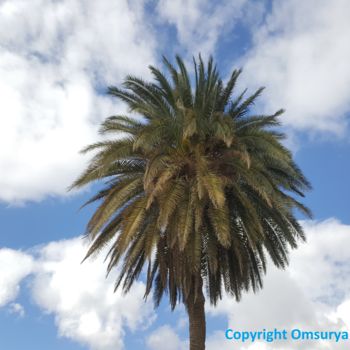 Photographie intitulée "REINA PALMERA CIELO" par Omsurya Sandra Inti Ruphay, Œuvre d'art originale