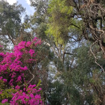 Fotografie mit dem Titel "MAGIE FLEURS ARBRES" von Omsurya Sandra Inti Ruphay, Original-Kunstwerk, Nicht bearbeitete Fotogra…