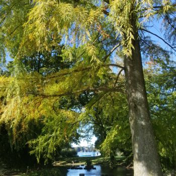 Fotografia zatytułowany „Zürich Licht Grün” autorstwa Omsurya Sandra Inti Ruphay, Oryginalna praca, Fotografia nie manipulow…