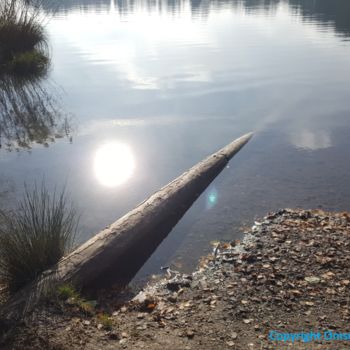 Fotografía titulada "Licht Idylle Wasser" por Omsurya Sandra Inti Ruphay, Obra de arte original, Fotografía no manipulada