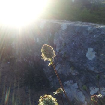 Fotografia intitolato "FLEUR GALAXIE LUMIE…" da Omsurya Sandra Inti Ruphay, Opera d'arte originale