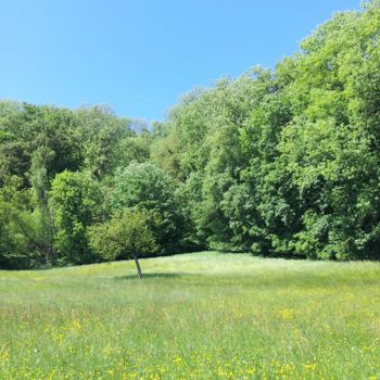 Φωτογραφία με τίτλο "HIMMEL AUF ERDEN" από Omsurya Sandra Inti Ruphay, Αυθεντικά έργα τέχνης