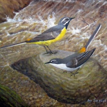 Painting titled "Gray Wag Tail" by Ong Sookeat, Original Artwork