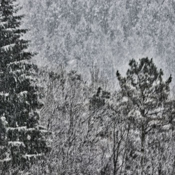 "Bel hiver / 5" başlıklı Fotoğraf Alain Brasseur tarafından, Orijinal sanat