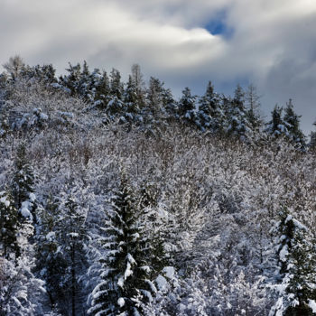 Photographie intitulée "Bel hiver / 8" par Alain Brasseur, Œuvre d'art originale