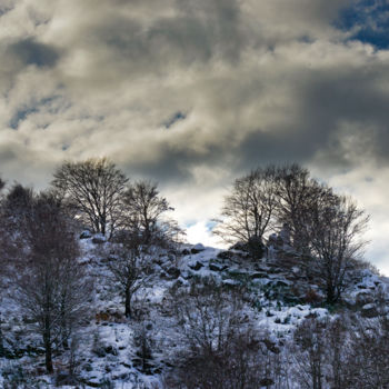 "Bel hiver / 13" başlıklı Fotoğraf Alain Brasseur tarafından, Orijinal sanat