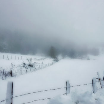 "Bel hiver / 16" başlıklı Fotoğraf Alain Brasseur tarafından, Orijinal sanat