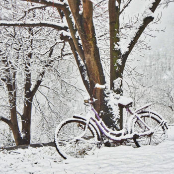 Fotografia intitulada "Bel hiver / 18" por Alain Brasseur, Obras de arte originais