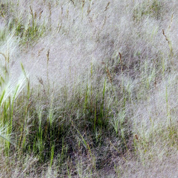 Photographie intitulée "Les herbes délicates" par Alain Brasseur, Œuvre d'art originale