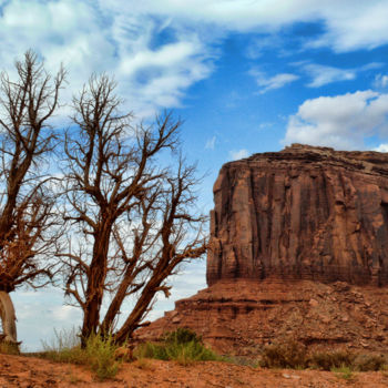 Fotografie getiteld "Monument Valley" door Alain Brasseur, Origineel Kunstwerk