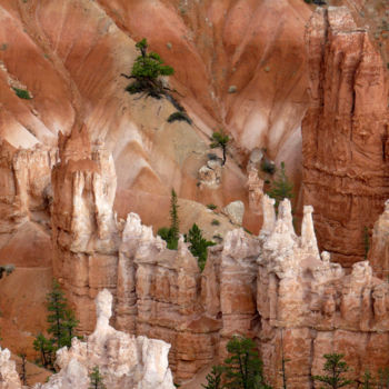 Photography titled "Bryce canyon 3" by Alain Brasseur, Original Artwork