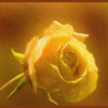 Digital Arts titled "Rose" by Alain Brasseur, Original Artwork, Digital Painting