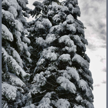 Fotografía titulada "Le bel hiver...5" por Alain Brasseur, Obra de arte original