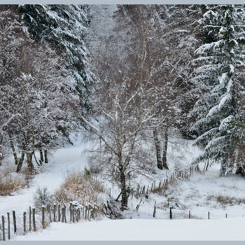 Fotografia intitulada "Le bel hiver....34" por Alain Brasseur, Obras de arte originais