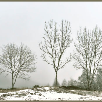 Photographie intitulée "Le bel hiver.....140" par Alain Brasseur, Œuvre d'art originale
