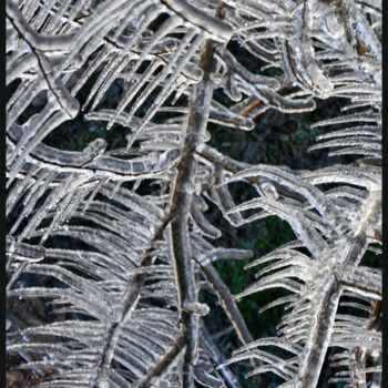 Photographie intitulée "Le bel hiver.....182" par Alain Brasseur, Œuvre d'art originale