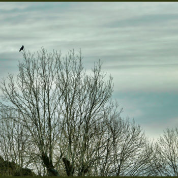 Photographie intitulée "Le bel hiver.....185" par Alain Brasseur, Œuvre d'art originale