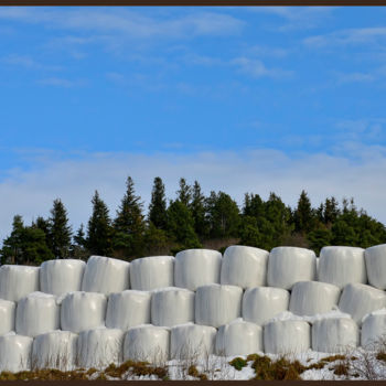 Photographie intitulée "Le bel hiver.....186" par Alain Brasseur, Œuvre d'art originale