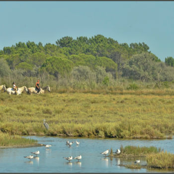 Photography titled "Camargue" by Alain Brasseur, Original Artwork