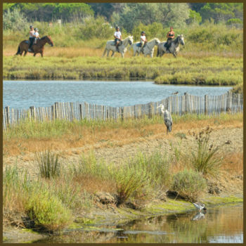 Photography titled "Ballade en Camargue." by Alain Brasseur, Original Artwork