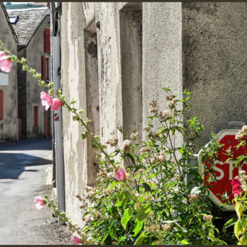 Photography titled "En Lozère le stop,…" by Alain Brasseur, Original Artwork