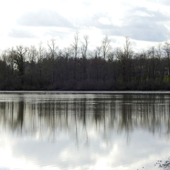 Фотография под названием "Etang à Villars les…" - Alain Brasseur, Подлинное произведение искусства