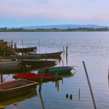 Photographie intitulée "Etangs à Villeneuve…" par Alain Brasseur, Œuvre d'art originale