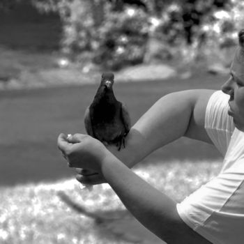 Фотография под названием "Le pigeon." - Alain Brasseur, Подлинное произведение искусства