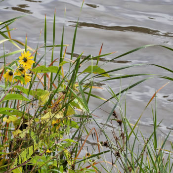 Photography titled "Les bords du Gardon…" by Alain Brasseur, Original Artwork