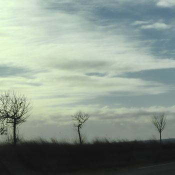 Photographie intitulée "Morne plaine." par Alain Brasseur, Œuvre d'art originale