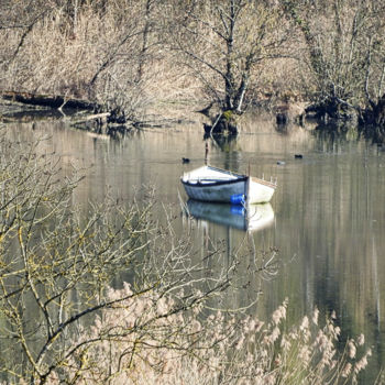 Fotografía titulada "Barque sur le Rhône." por Alain Brasseur, Obra de arte original